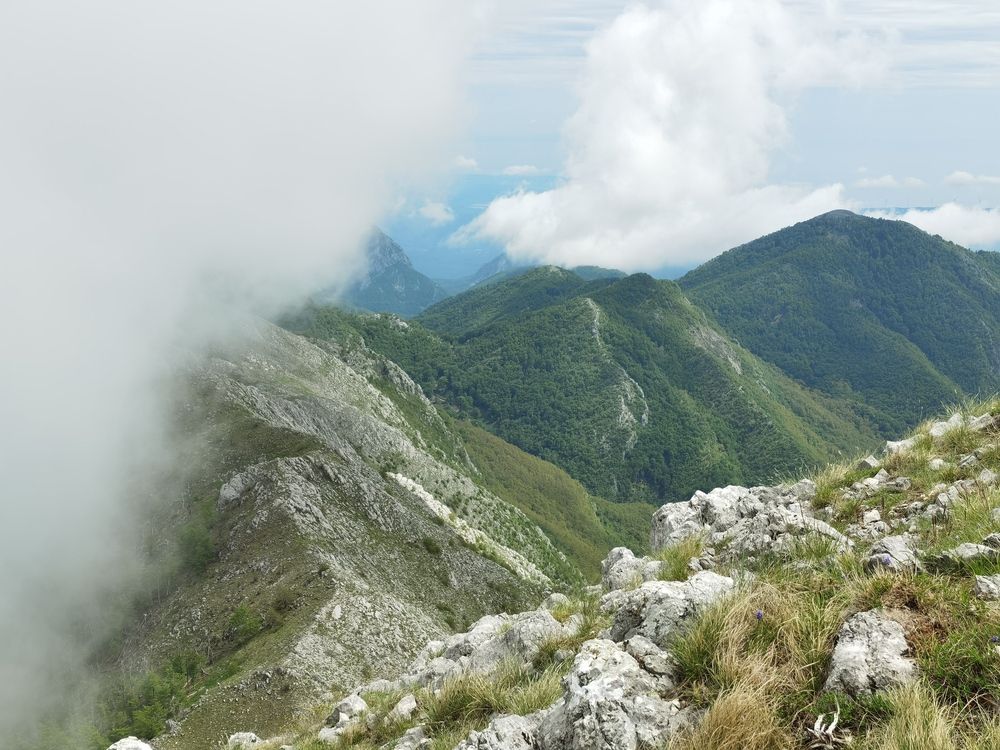 Photograph by Вячеслав Амерханов