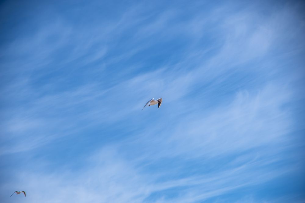 Photo #13751917