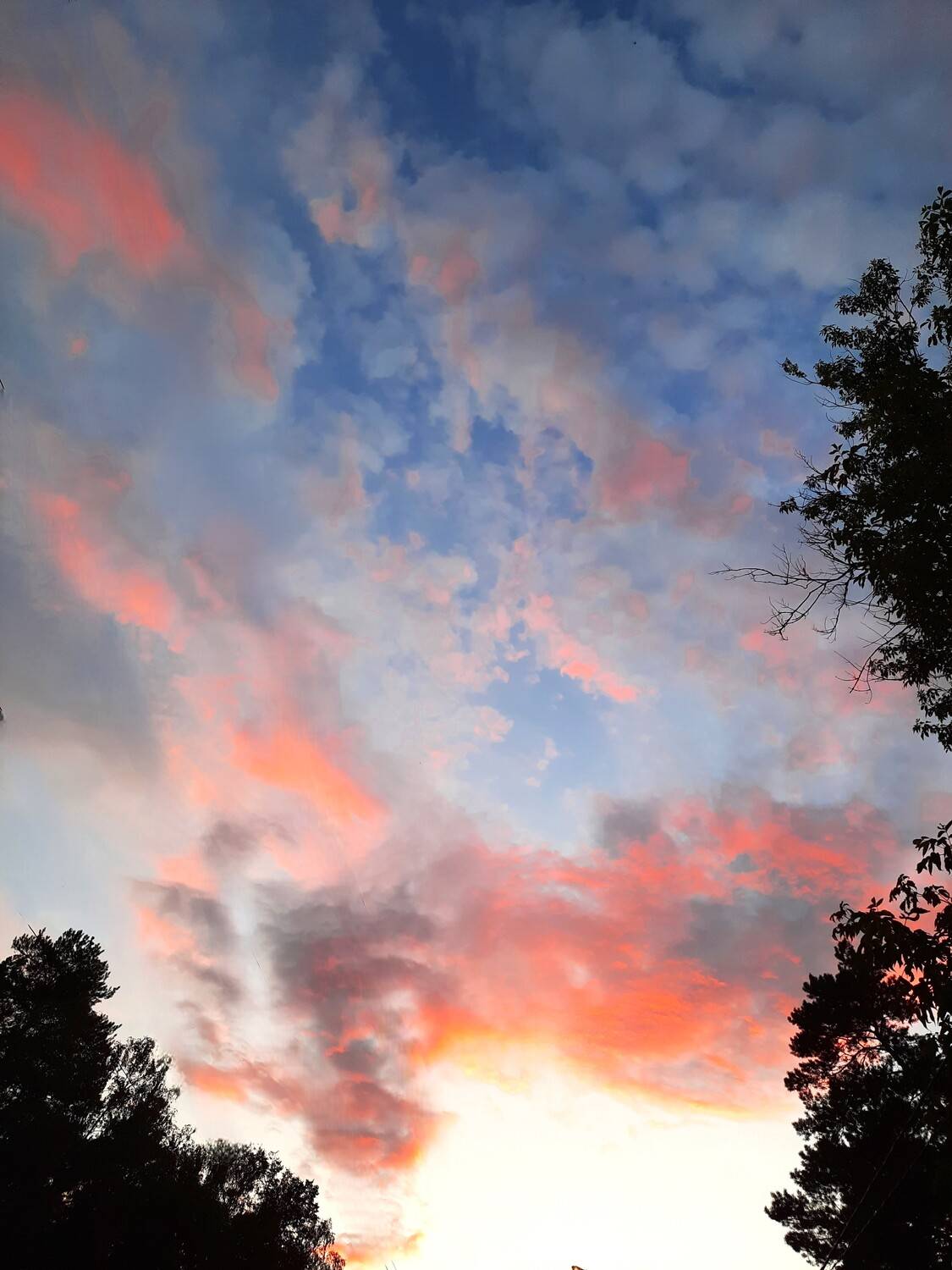Photo #13751918
