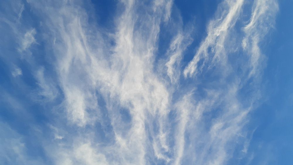 Photo #13751948