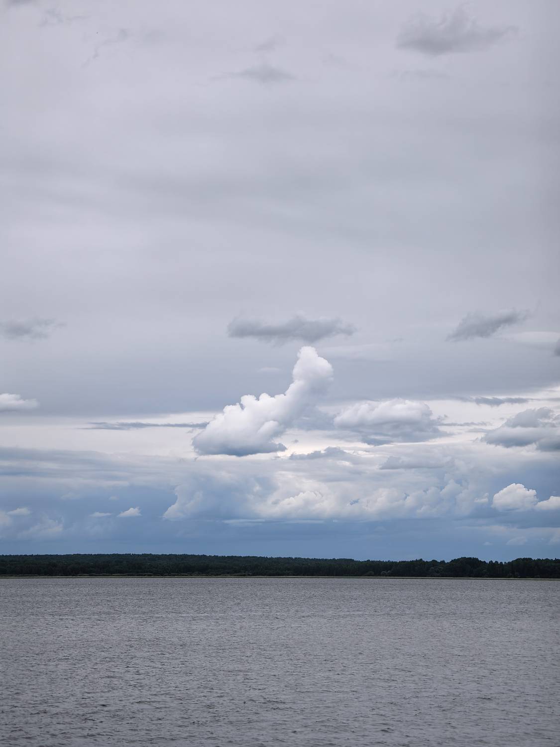 Photo #13752118