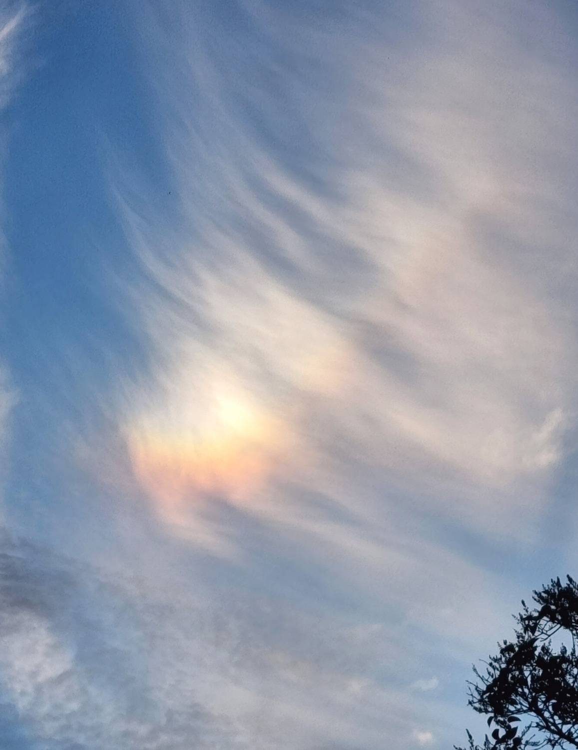Photo #13752206