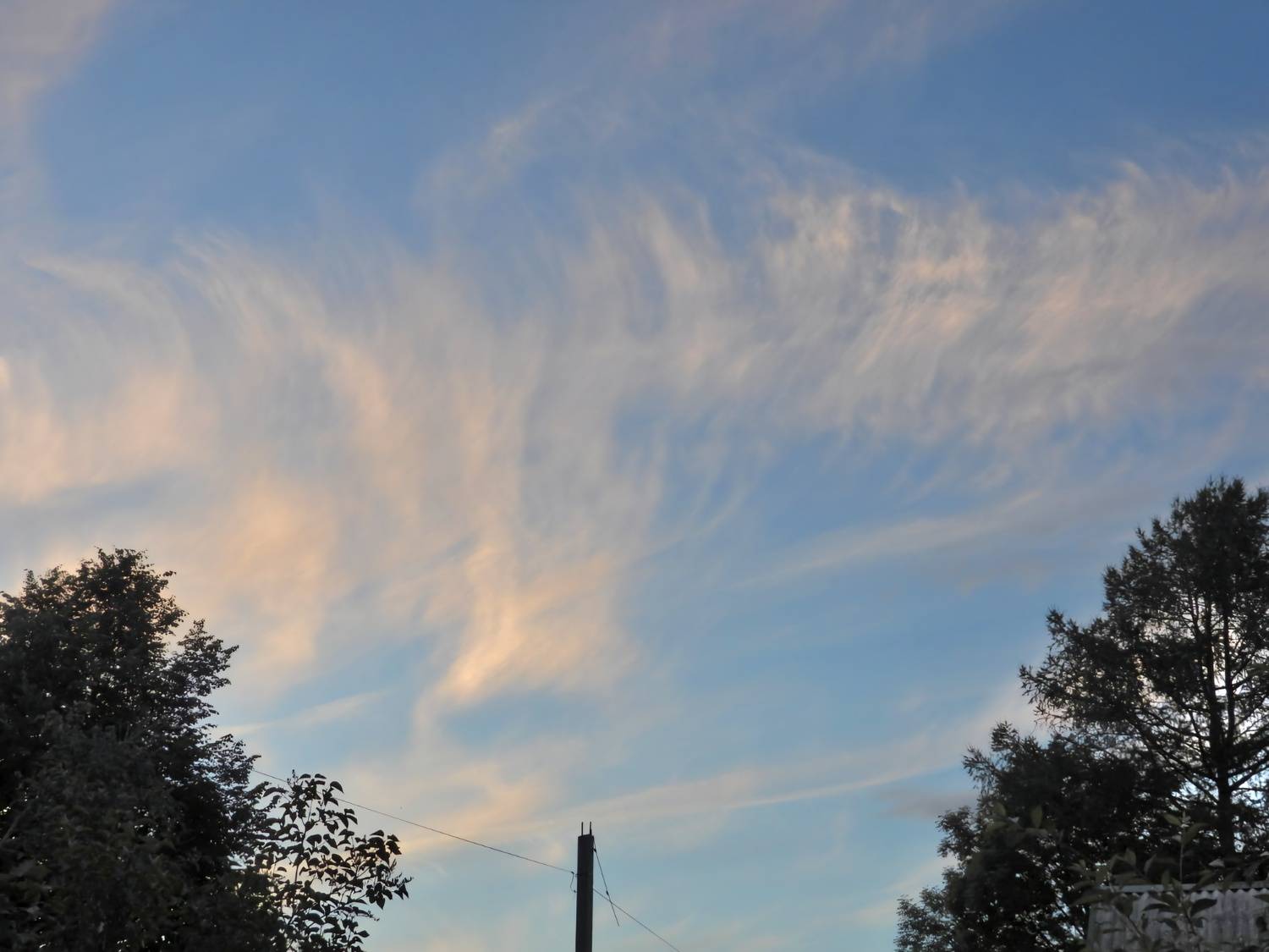 Photo #13752207