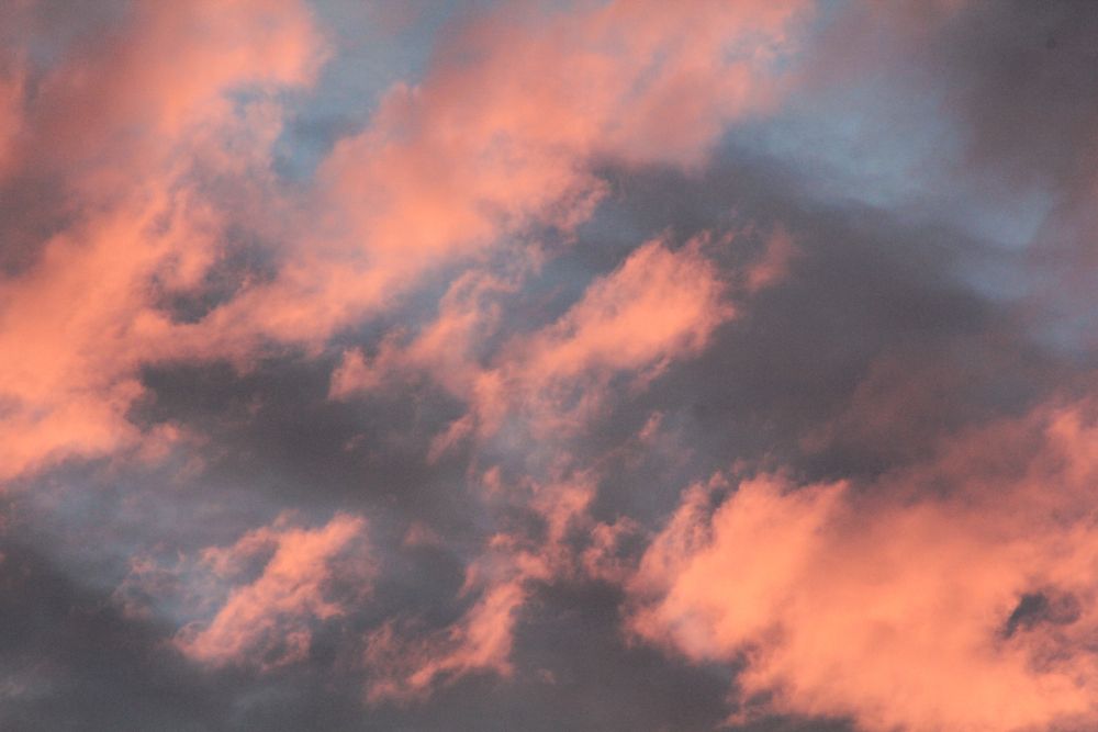 Painted Skies