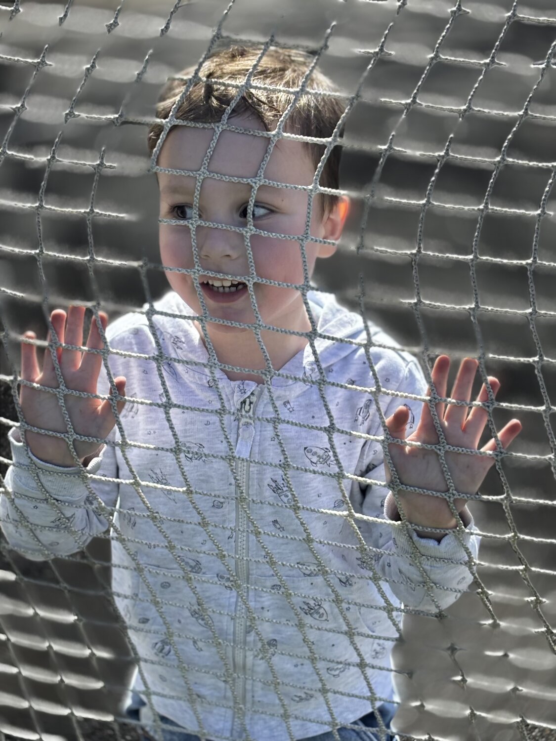 Photo #13752320