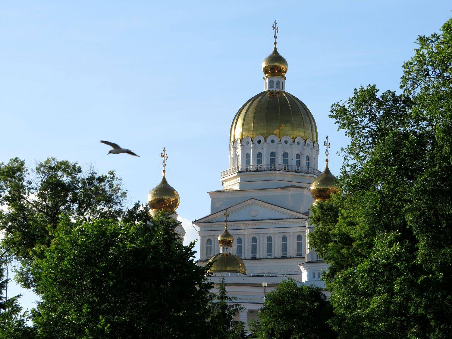 Золотые купола