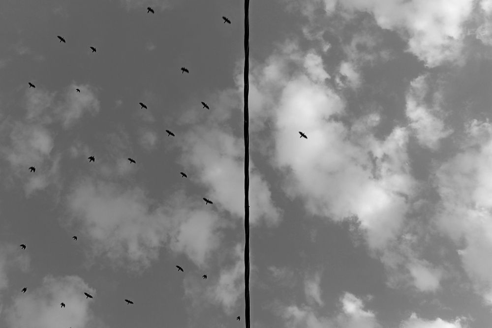 Фотография автора akram mirzaee