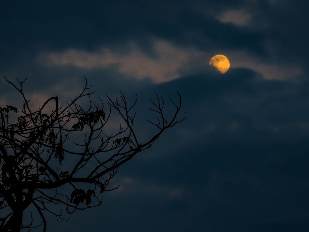 Photograph by Ahmed Diab
