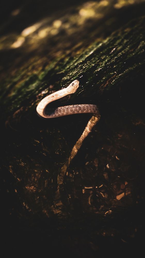 Photograph by Артем Сурганов