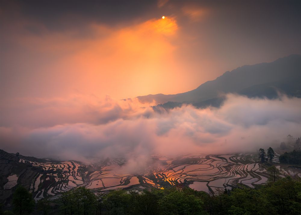 Photograph by Tran Linh