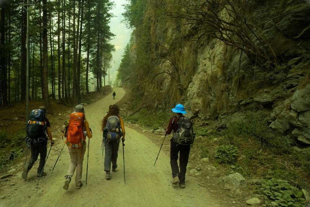 Hikers