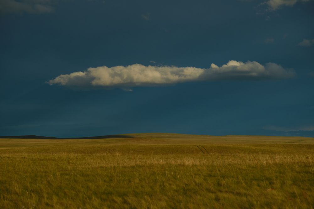 Photograph by Константин Белоногов