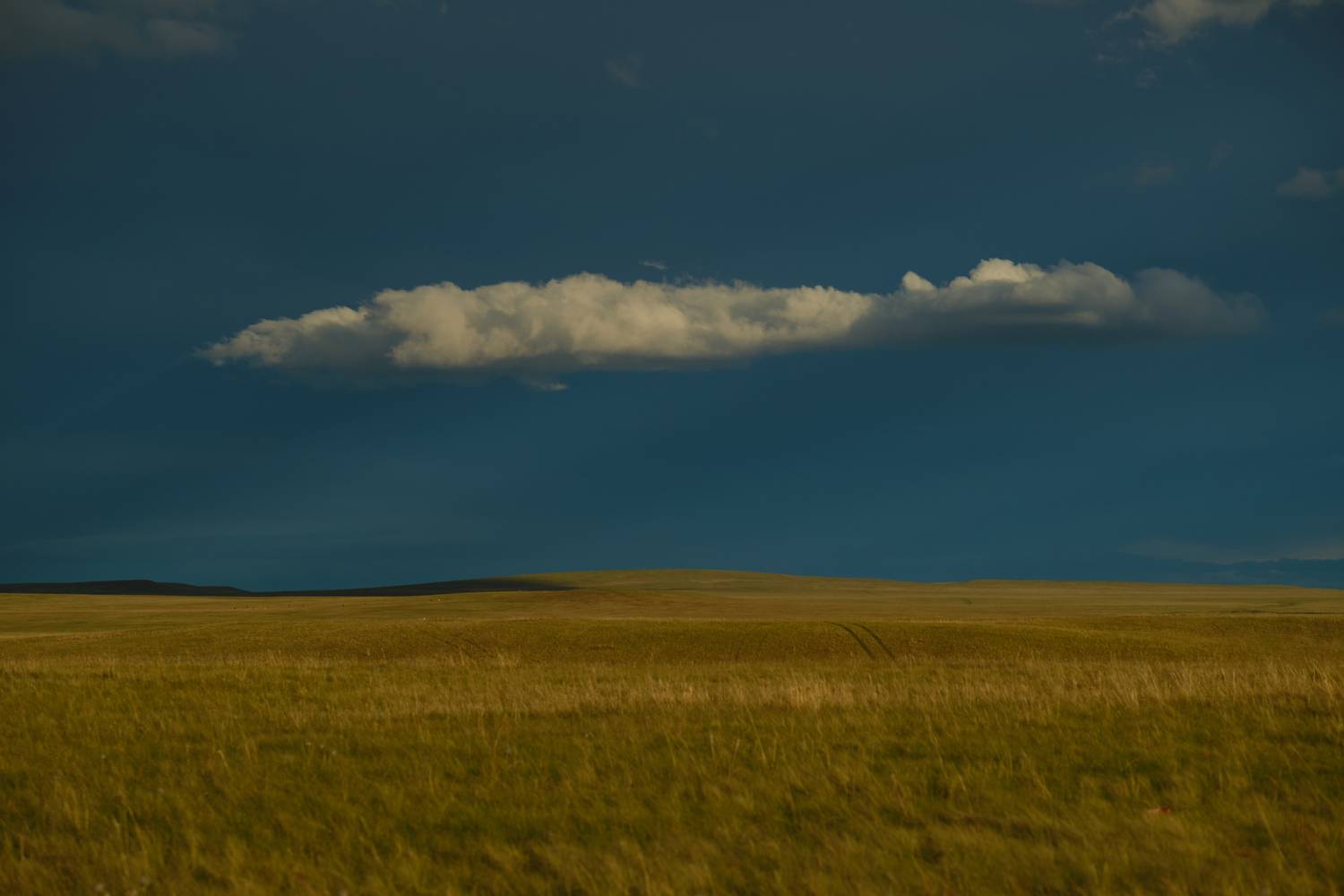 Photo #13752584