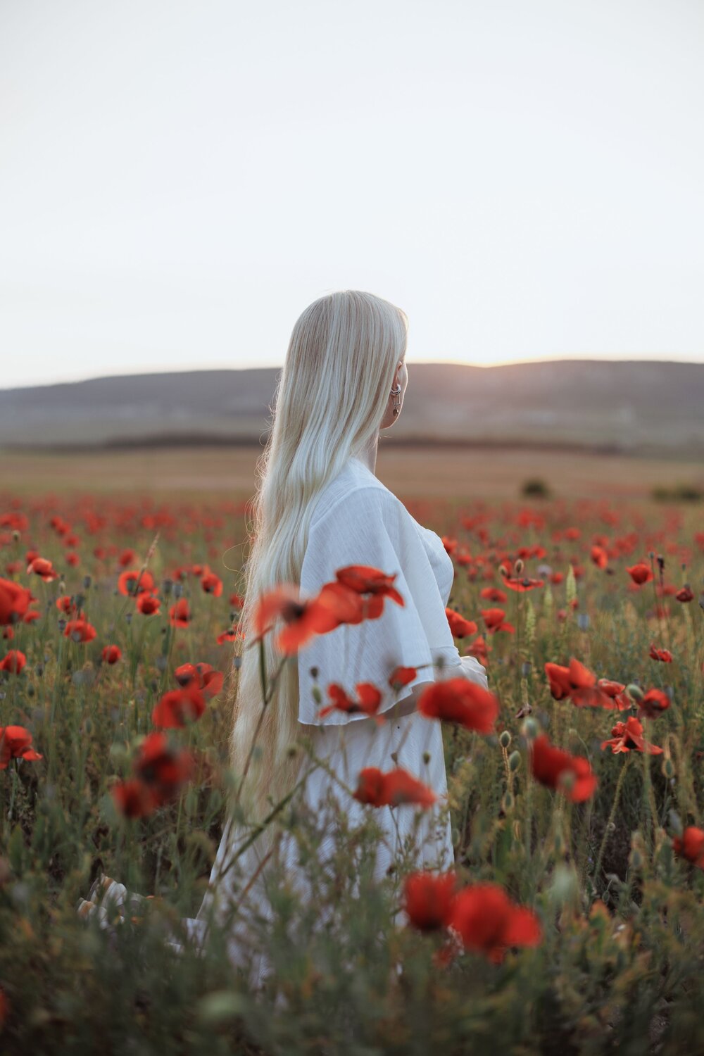 Photo #13752616
