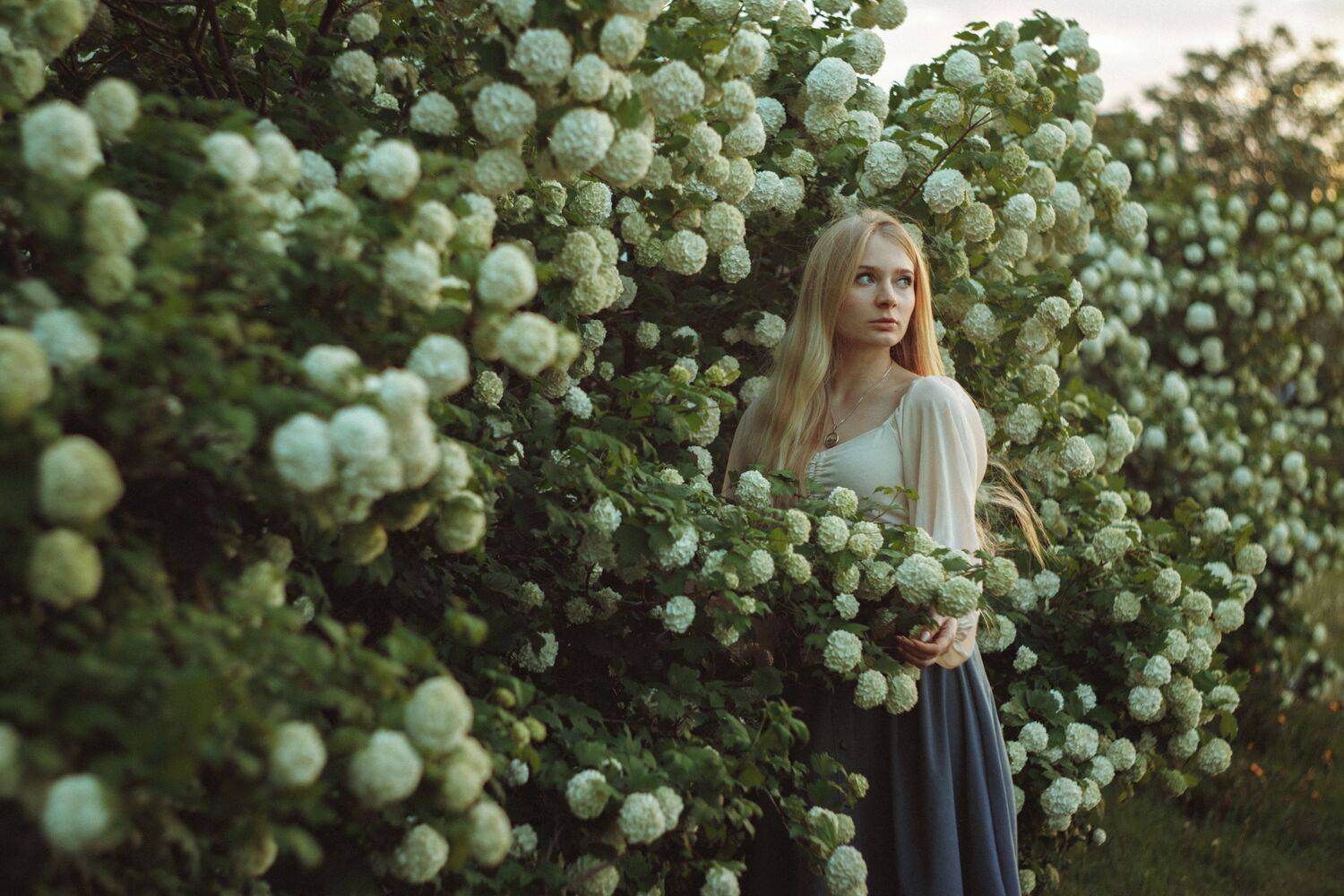 Photo #13752622