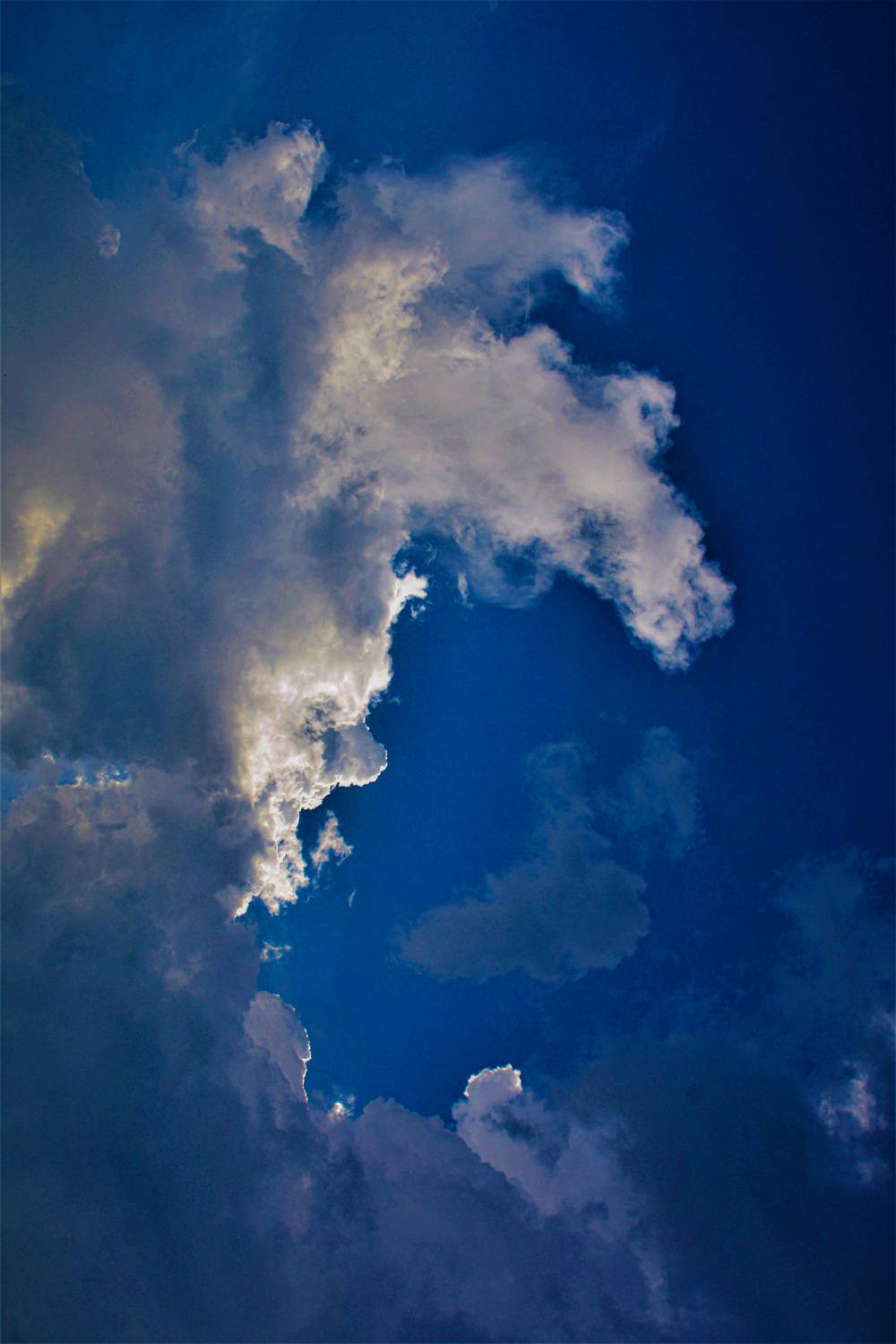 Photo #13752773