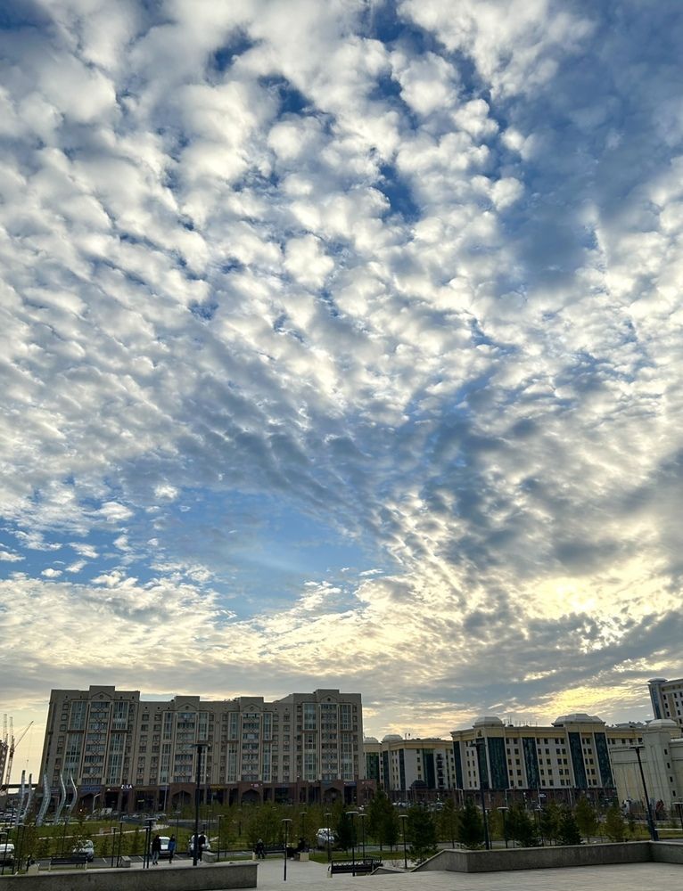 Фотография автора Анар Амирова