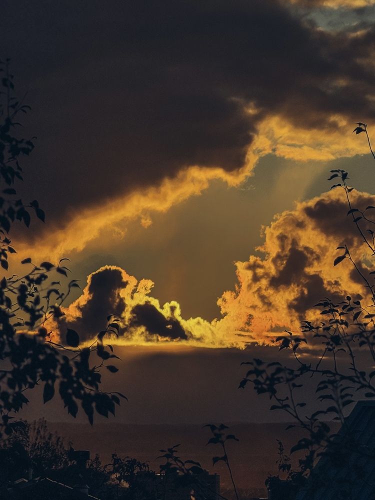 Photograph by Elena Menshikova