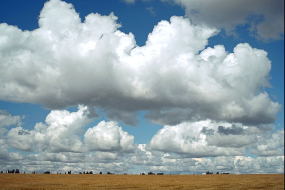 Photograph by Михаил Король
