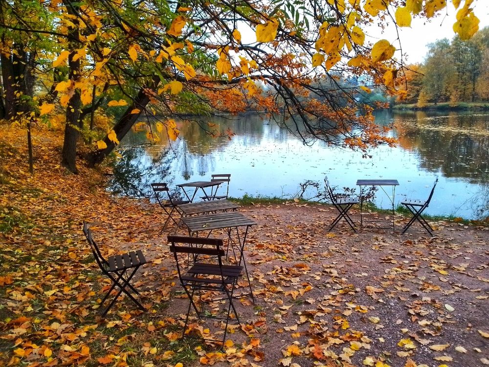 Photograph by Юлия Громушкина
