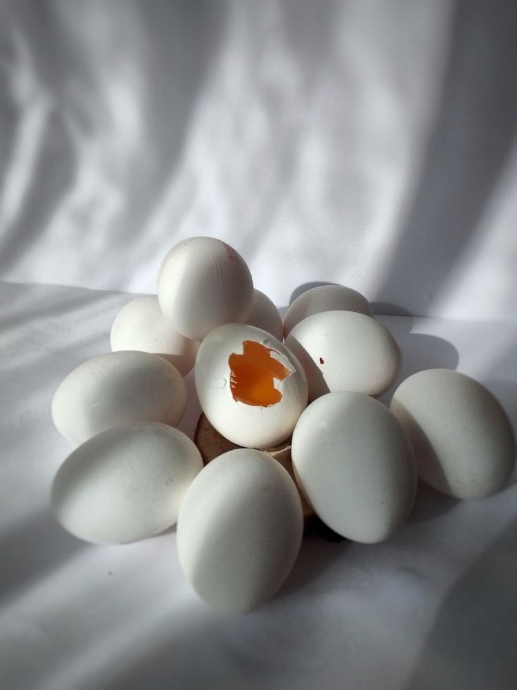 Photograph by Юлия Громушкина
