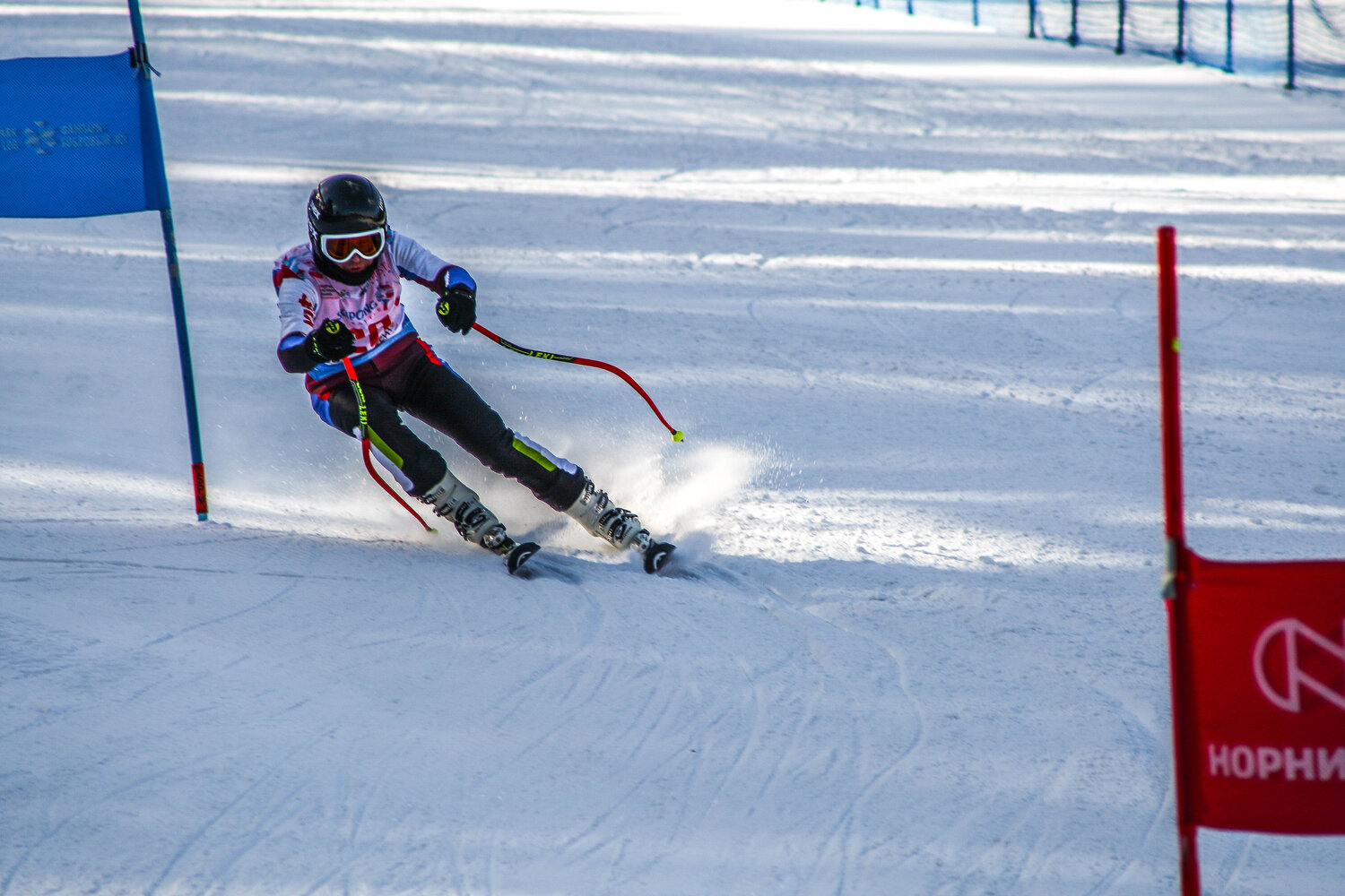 Photo #13752952