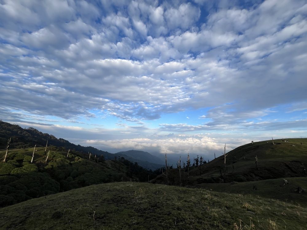Photograph by Mainak Bhattacharjee