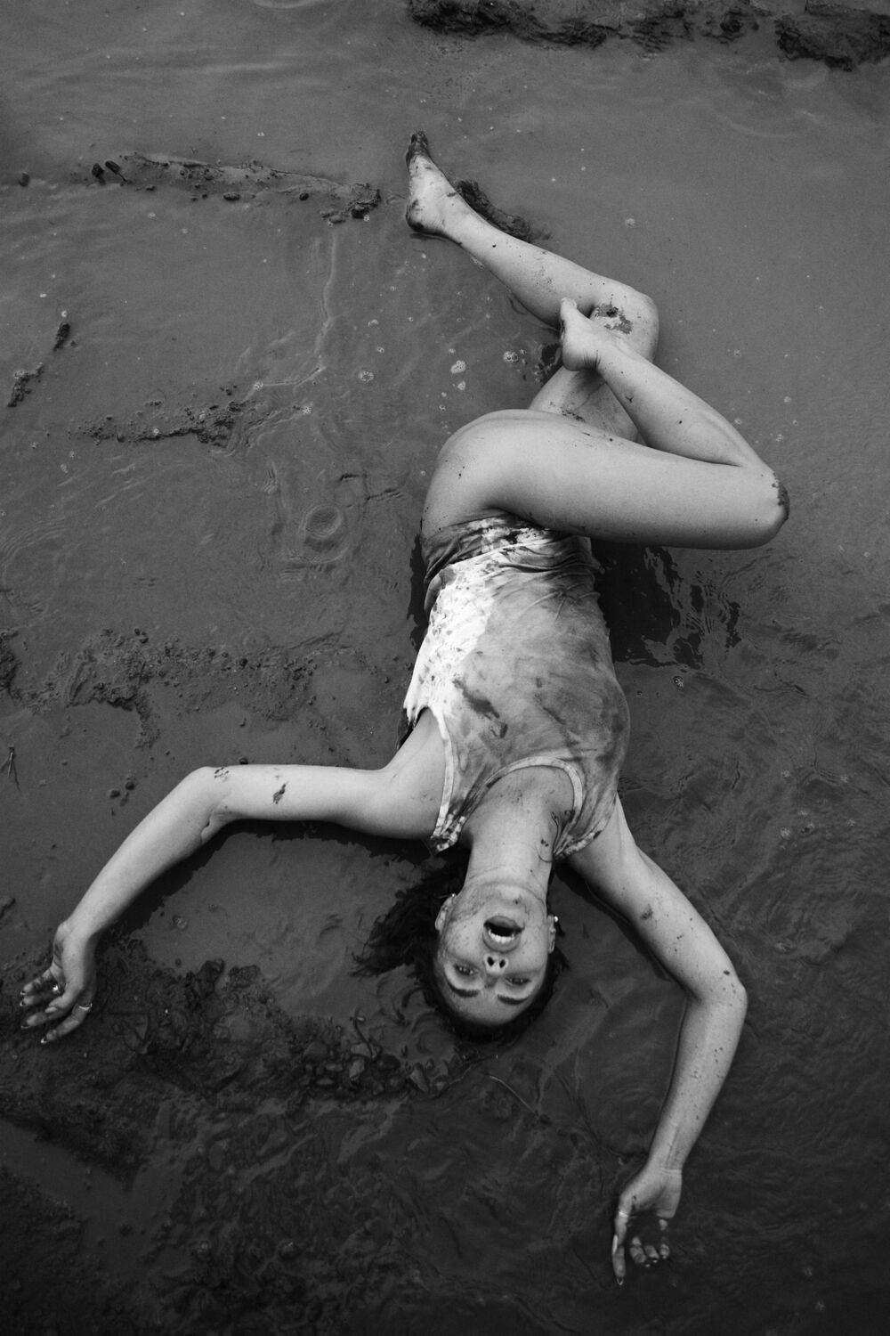 Photo #13753061