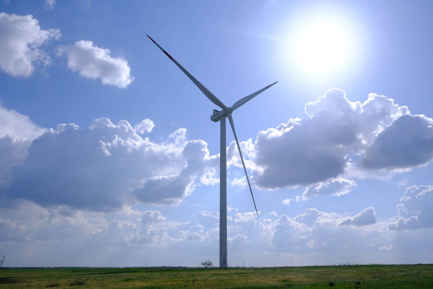 Photo #13753108