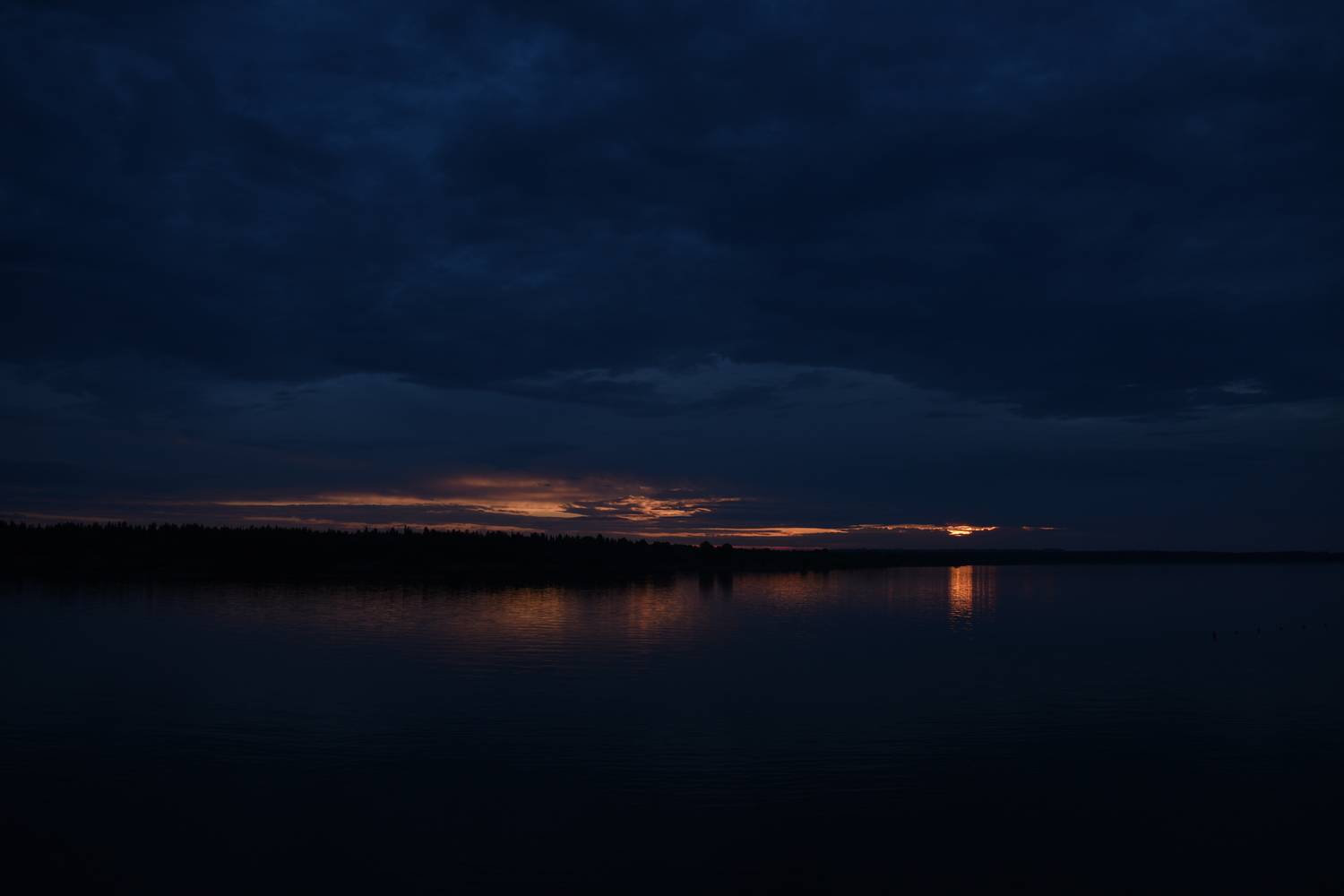 Photo #13753152