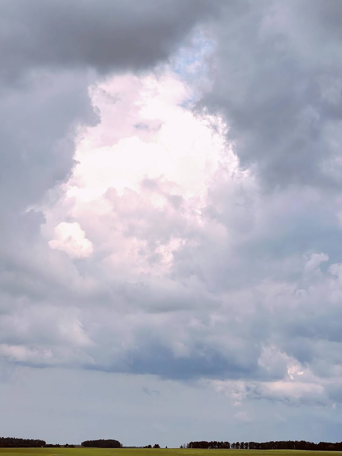 Photo #13753246
