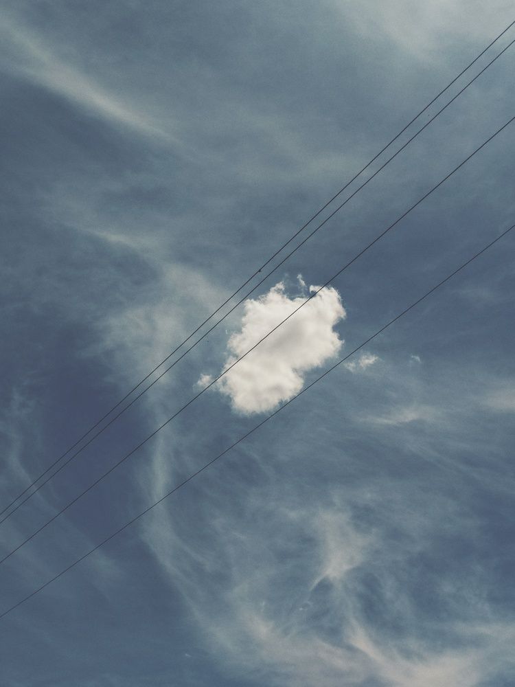 Photograph by Анастасия Чепурнова