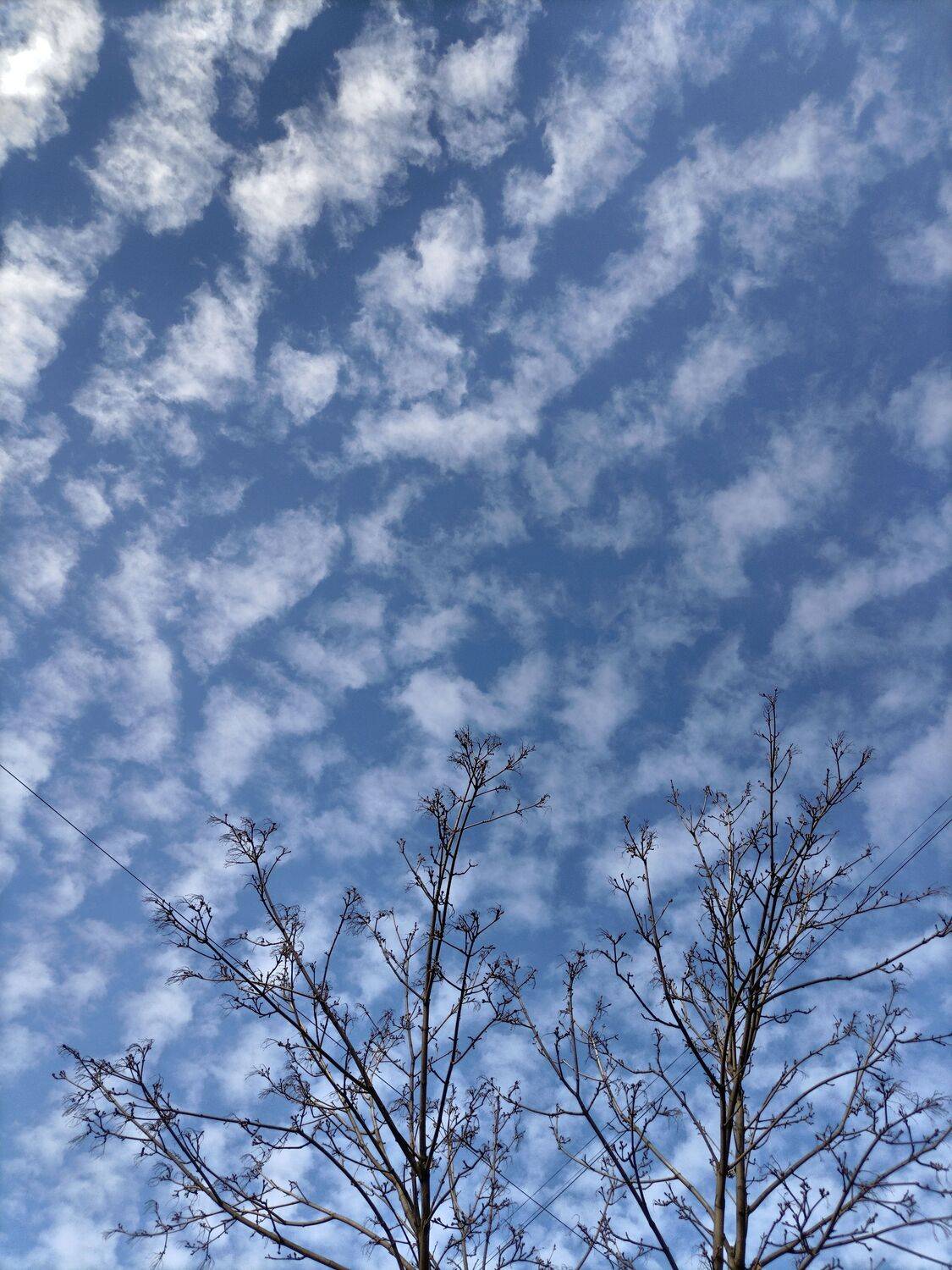 Photo #13753306