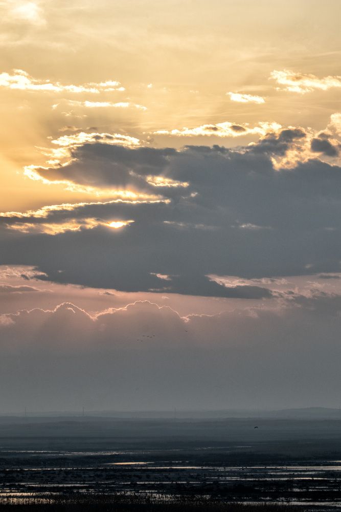 Photograph by ольга стаценко