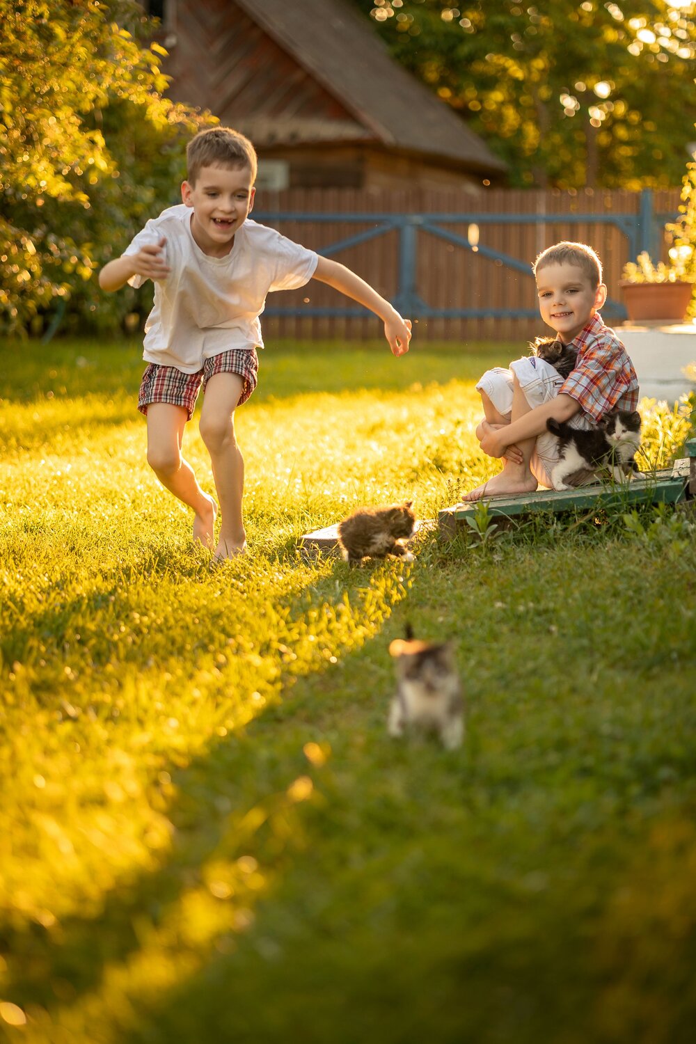 Photo #13753335