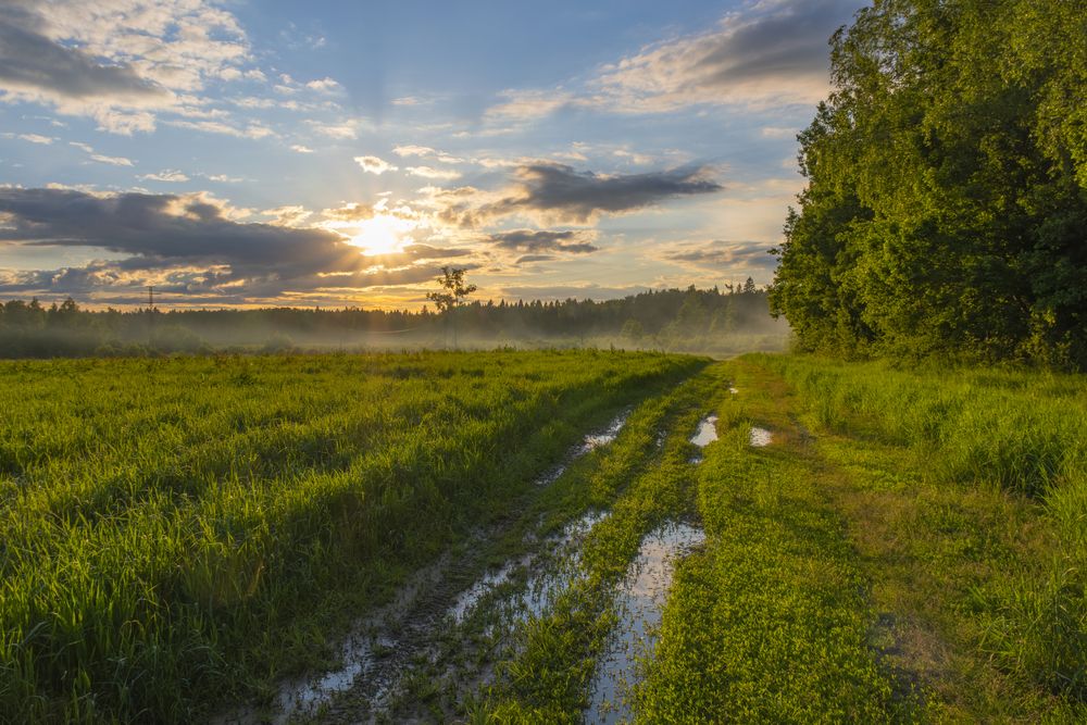 Photograph by Тимофей Овчинников