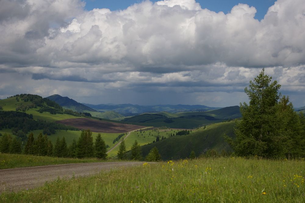 Photograph by Елена Алешкевич