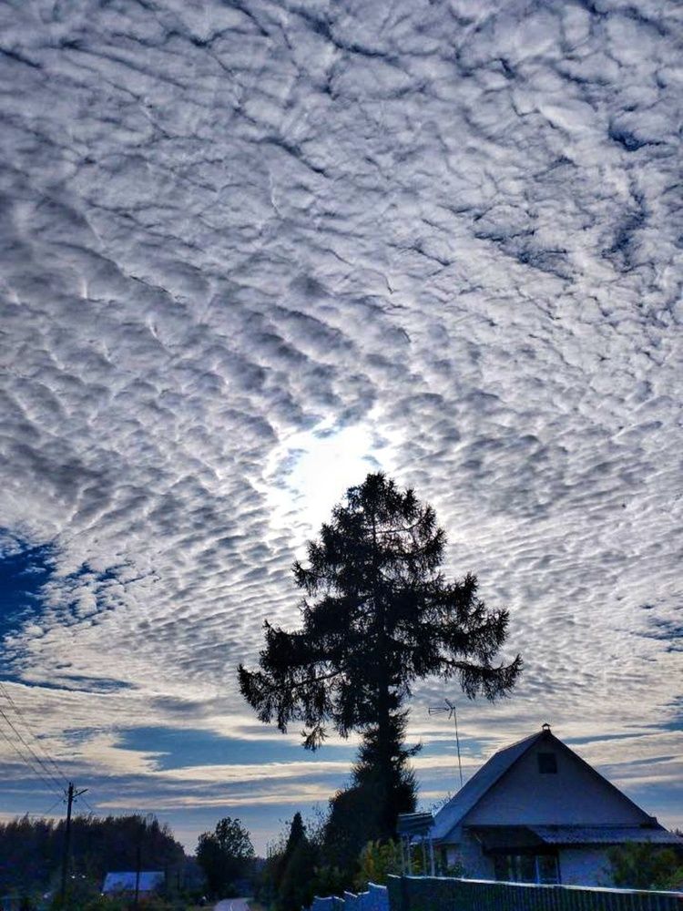 Photograph by Ия Дирко