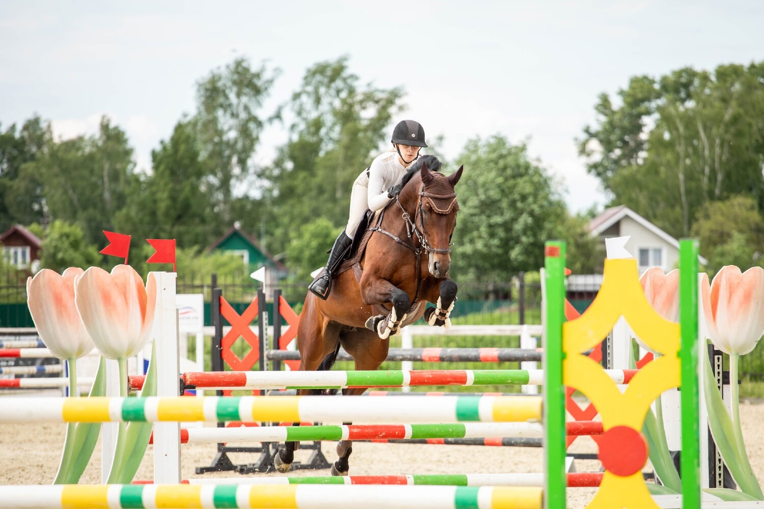 Photo #13753489