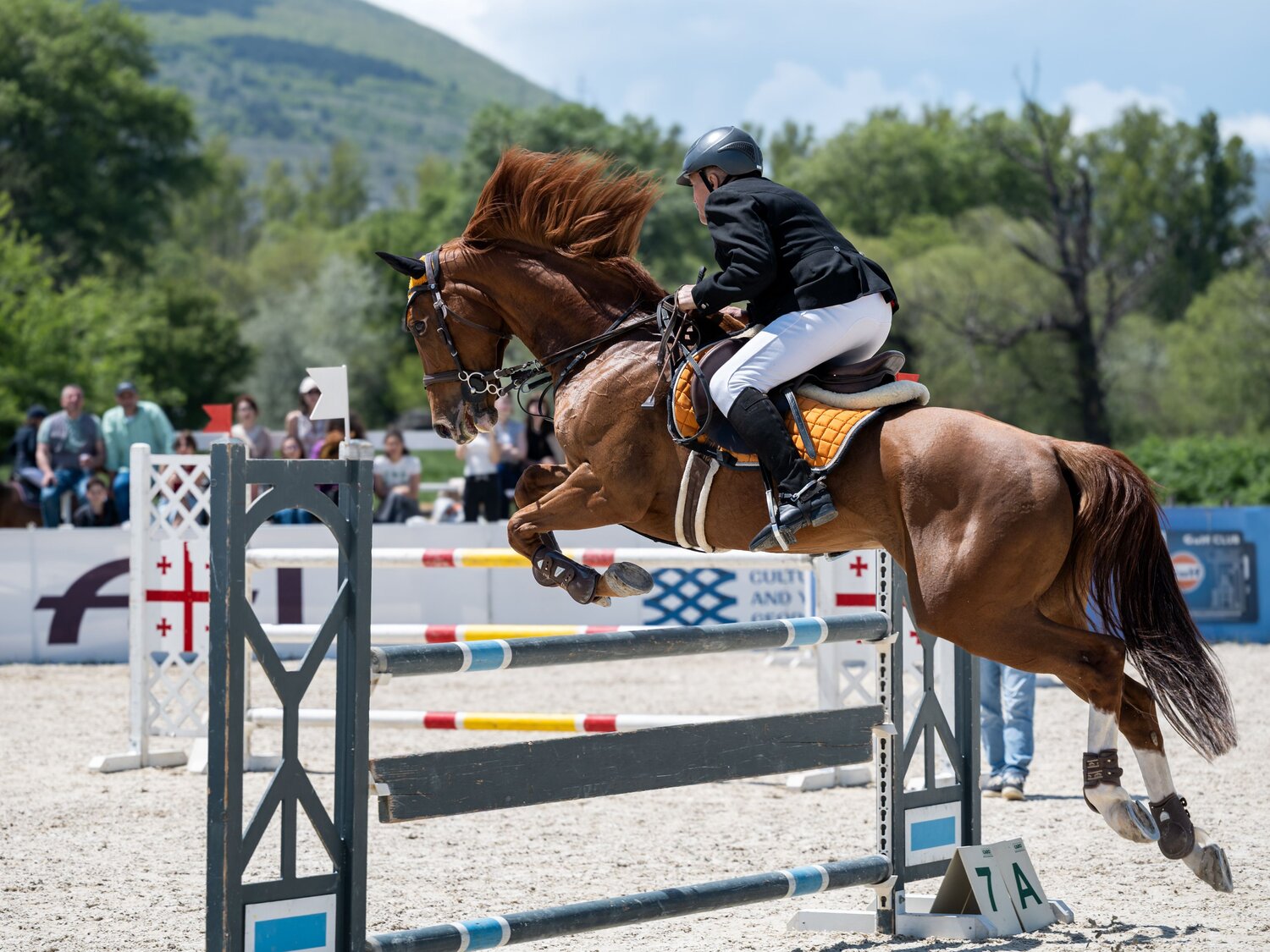 Photo #13753677