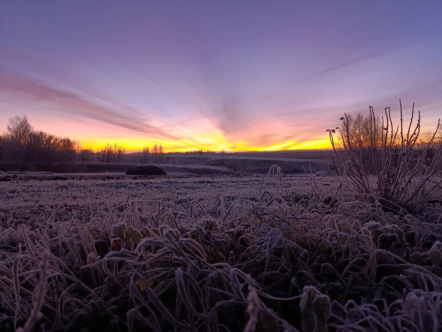 Photo #13753705
