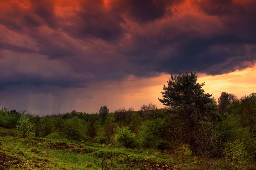 Photograph by Владимир
