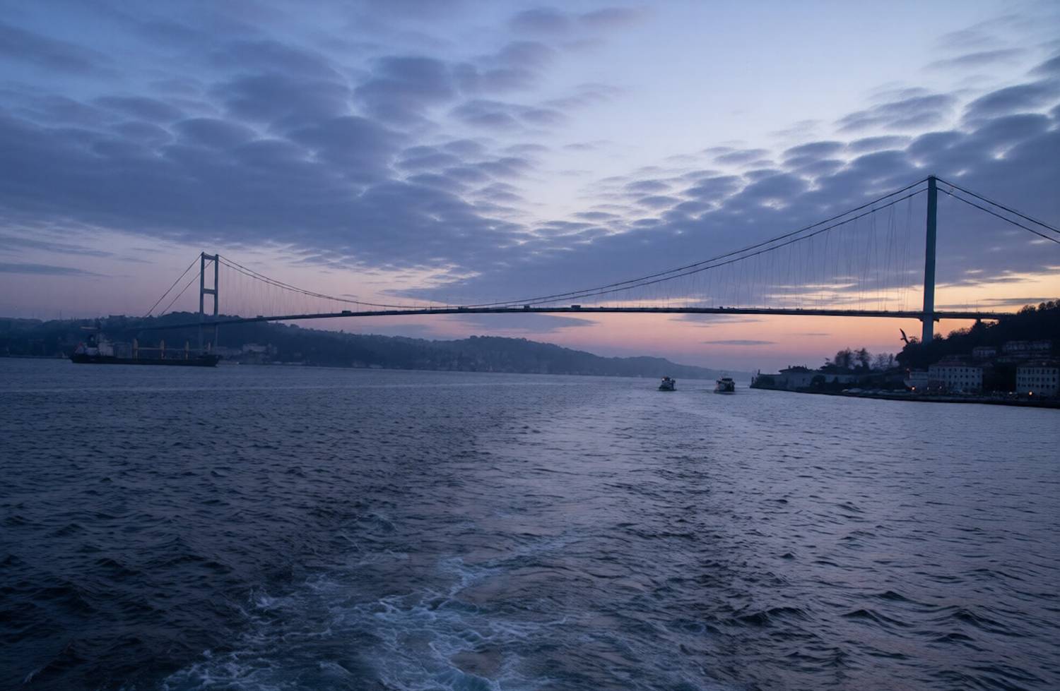 Photo #13753746