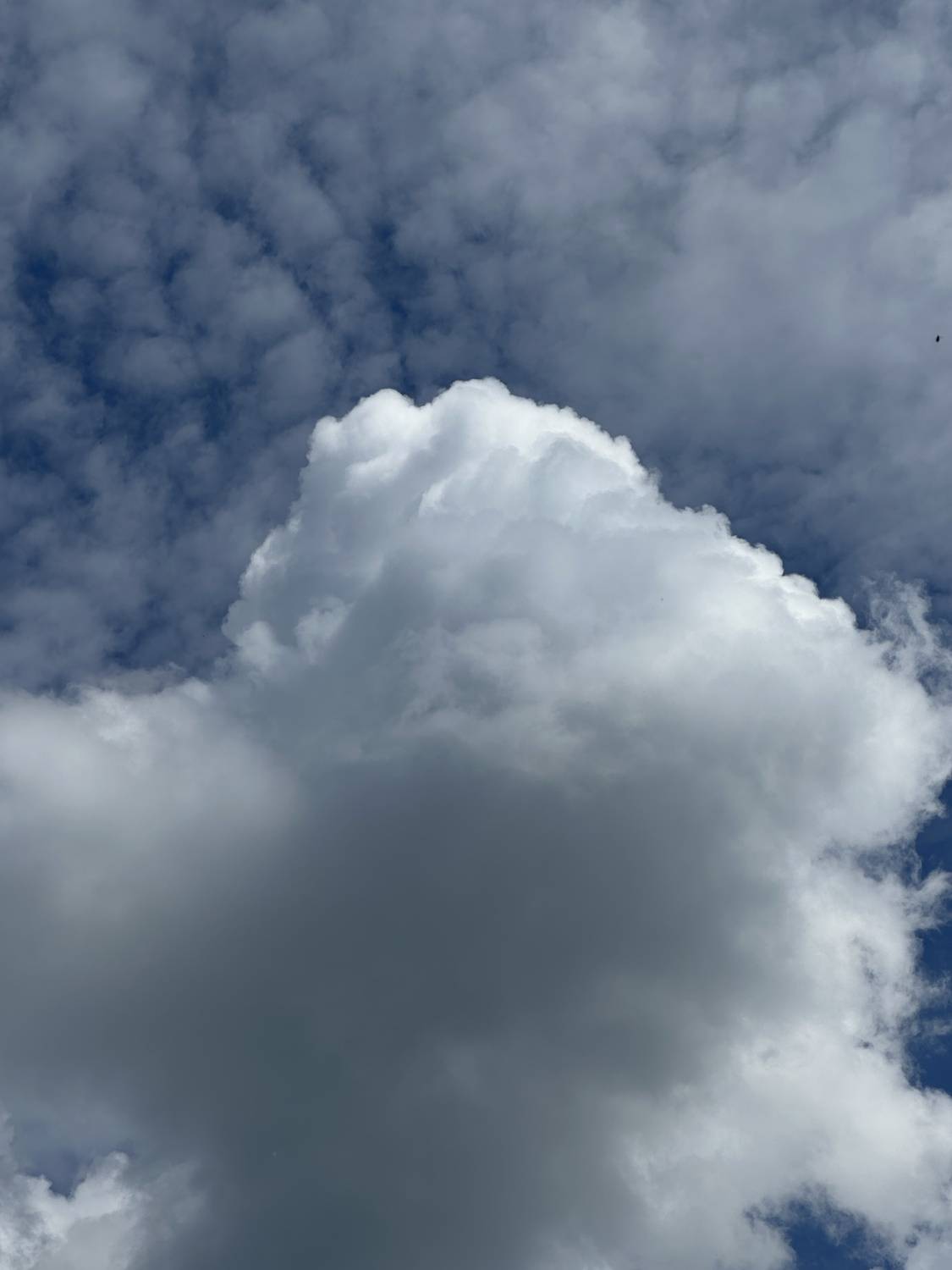 Photo #13753787