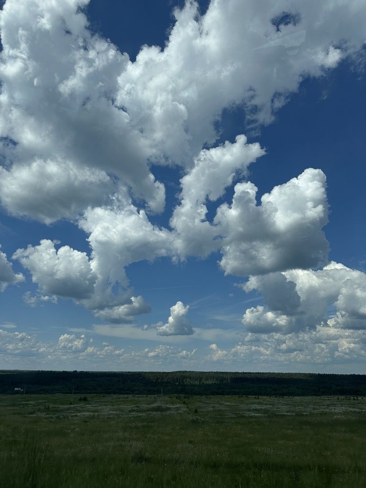 Photograph by Заломаева Надежда