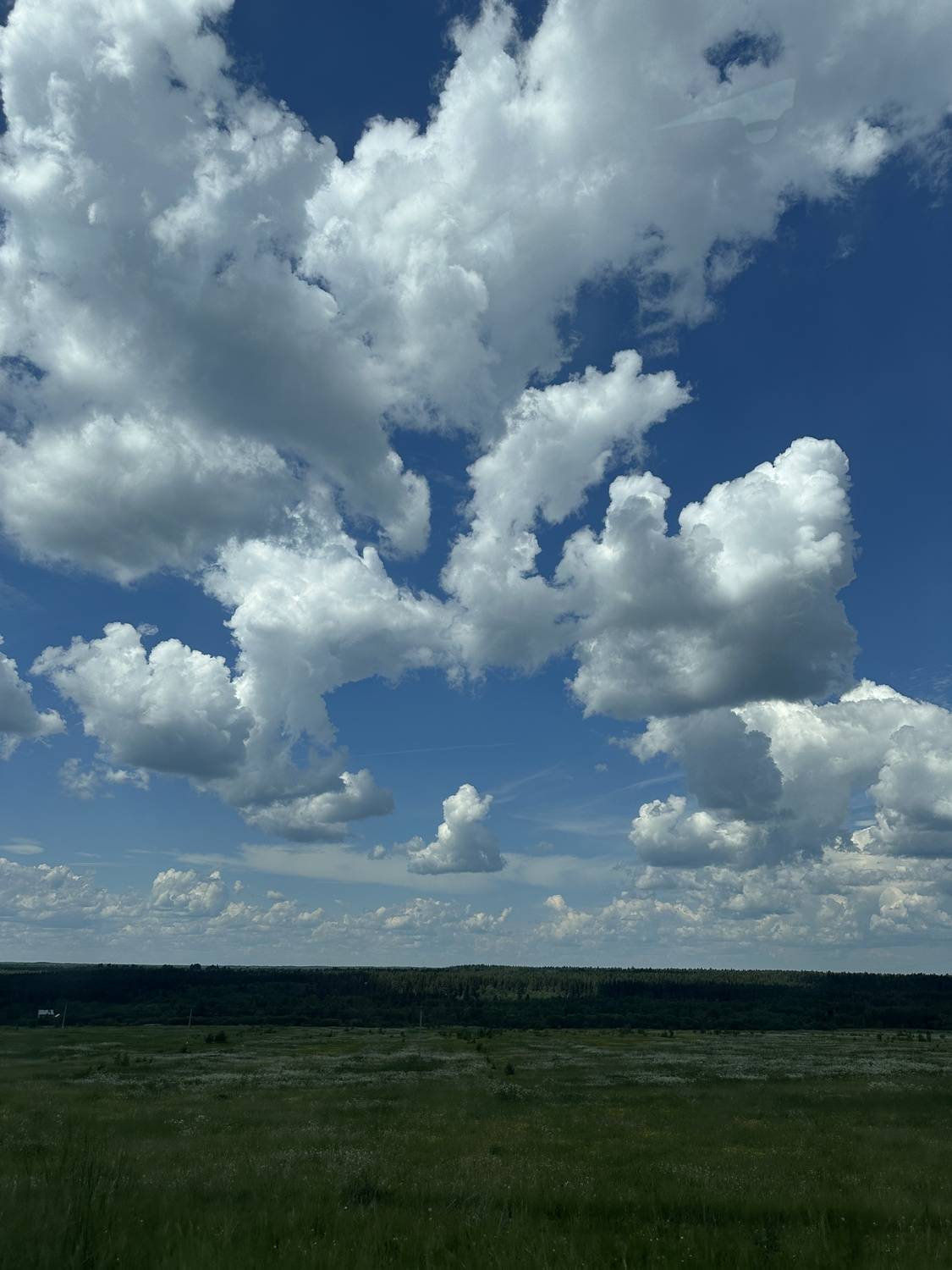 Photo #13753789