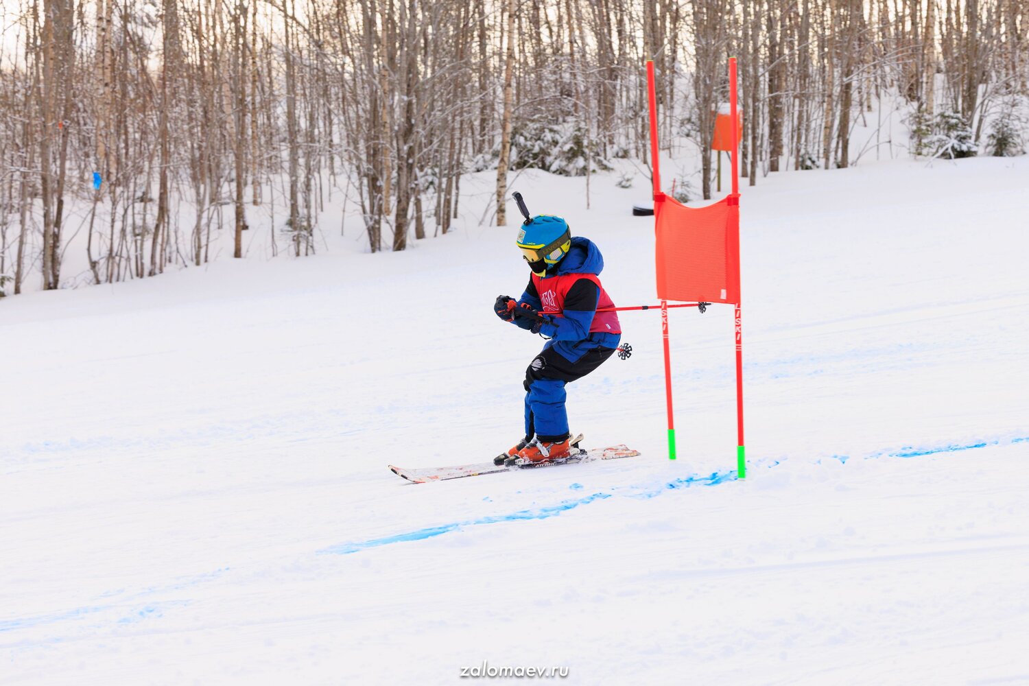 Photo #13753804