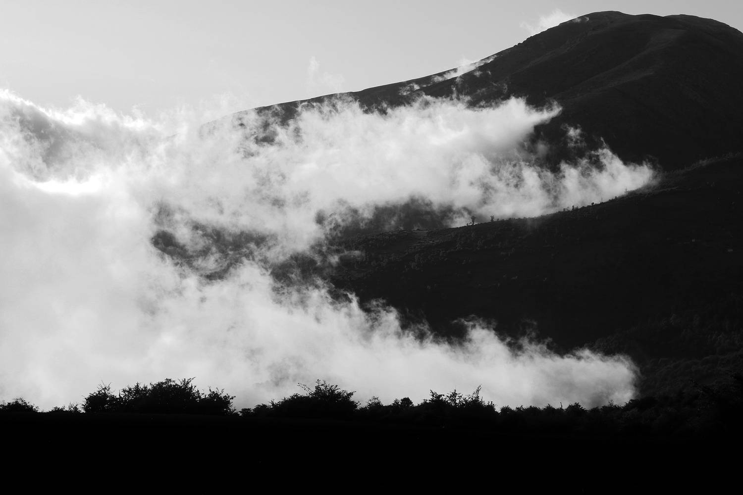 Photo #13753840