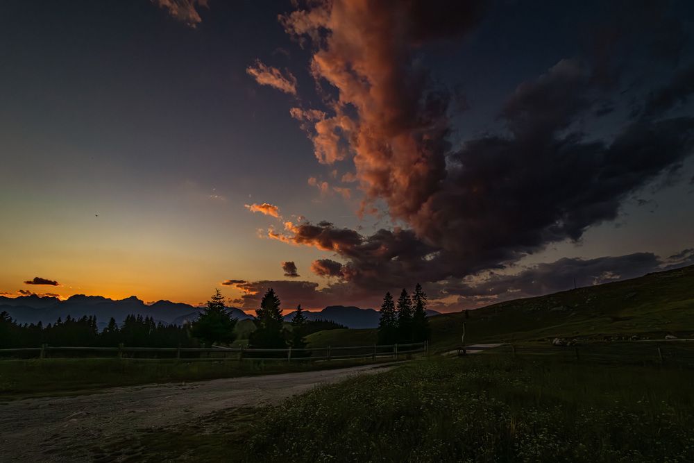 Photograph by Gregor Kobilica