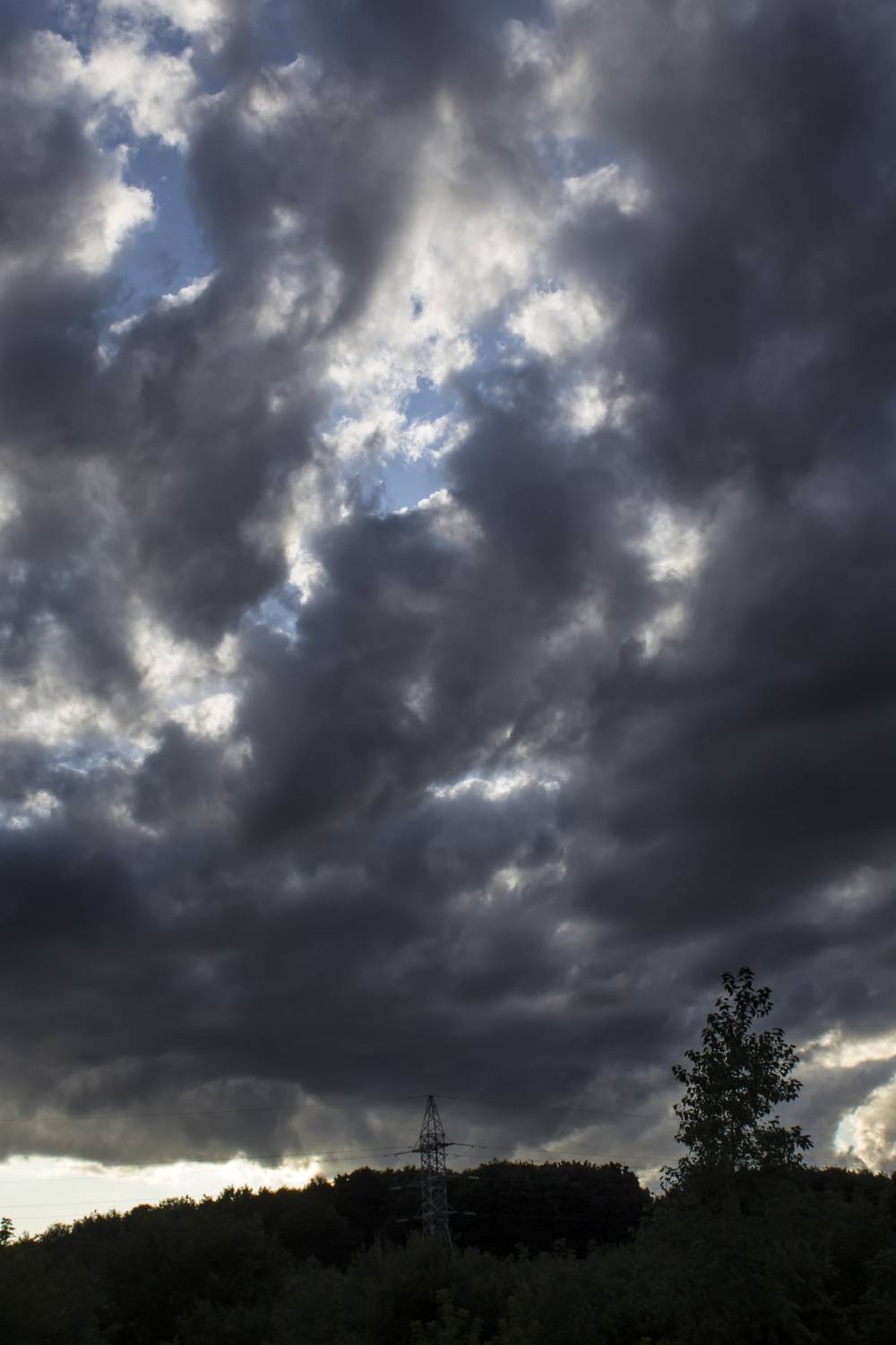 Photo #13753875